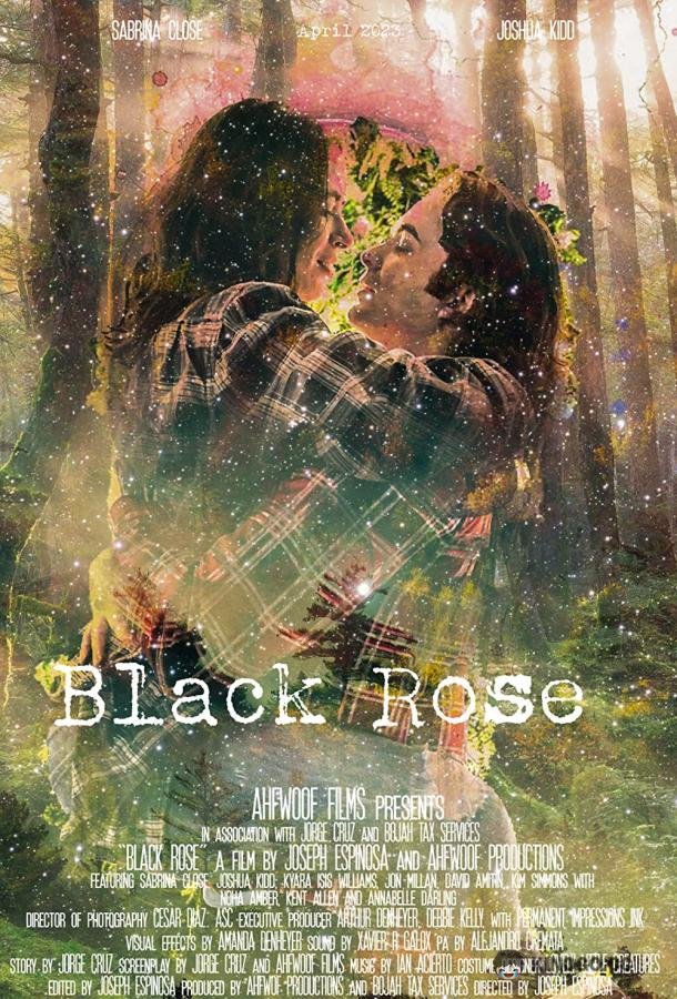 Чёрная роза Black Rose (2023)