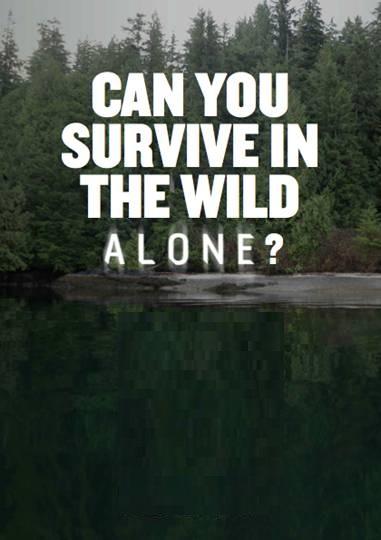 В изоляции Alone (2015)