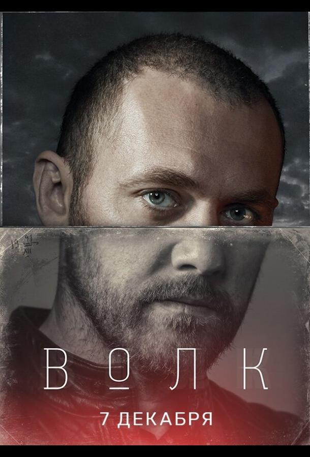 Волк  (2020)