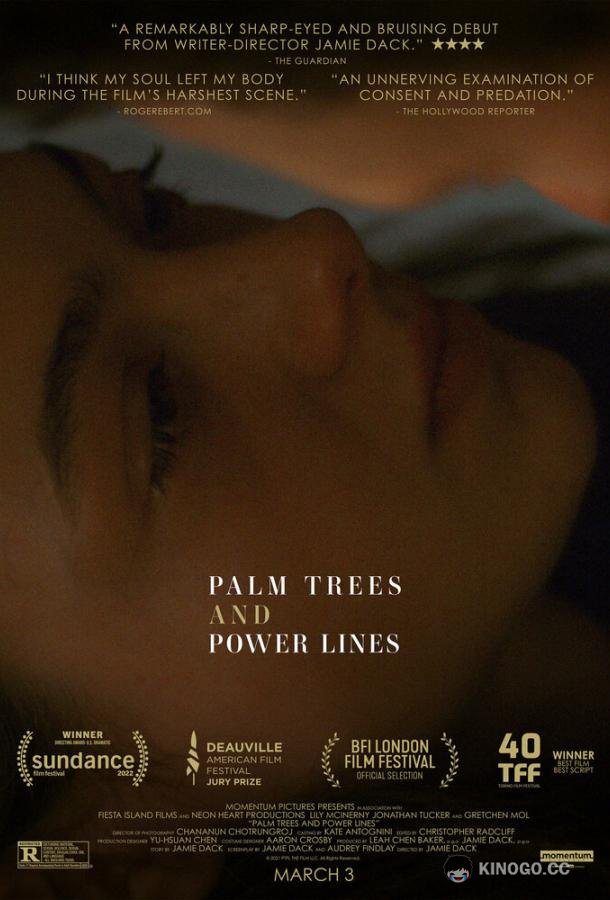 Пальмы и линии электропередач Palm Trees and Power Lines (2022)