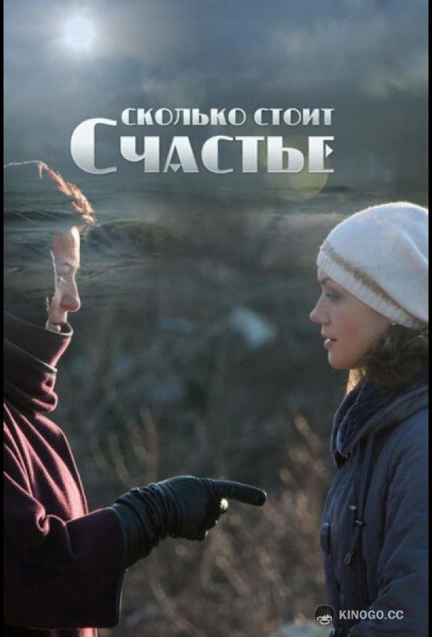 Сколько стоит счастье  (2016)