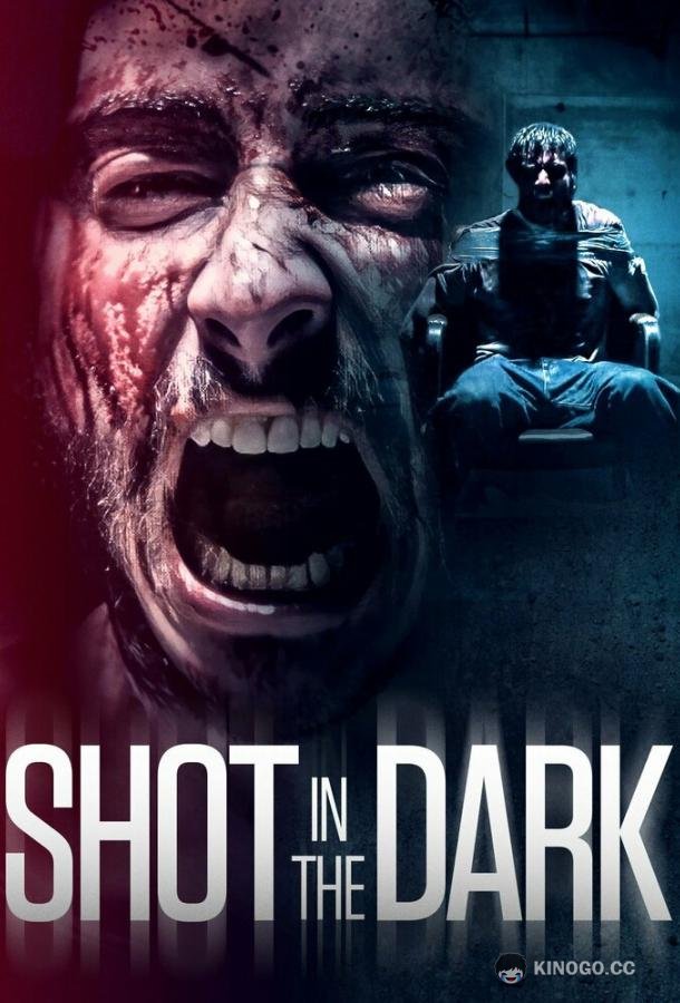 Выстрел в темноте Shot in the Dark (2021)