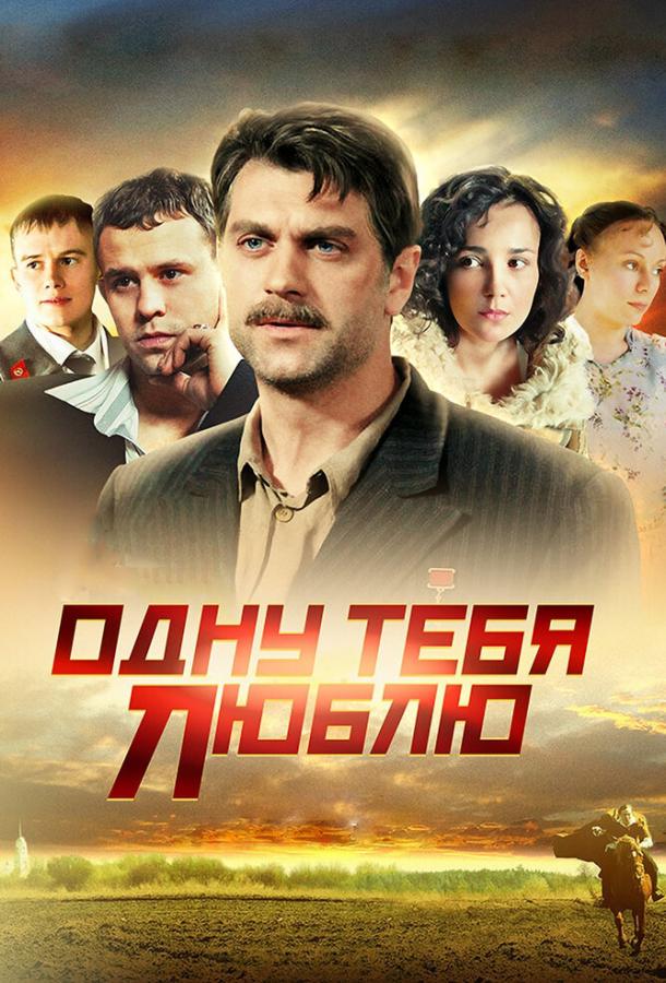 Одну тебя люблю  (2012)