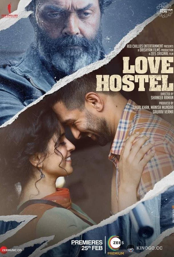 Хостел любви Love Hostel (2022)