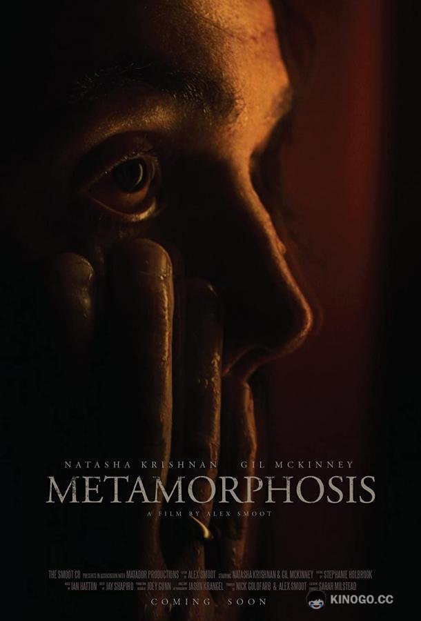 Метаморфозы Исмаилы Ба Metamorphosis (2022)